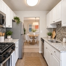 Avery Park Apartment Homes