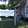 The Chameleon gallery