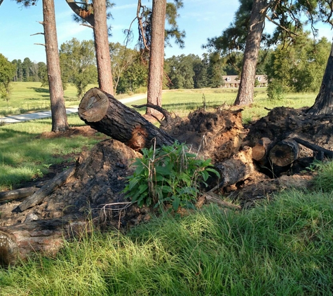 Jimmy's stump grinding service - Texarkana, TX