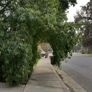 Photo #11