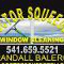 Doctor Squeegee Window Cleaning - Window Cleaning