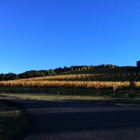 Chalk Hill Estate Vineyards