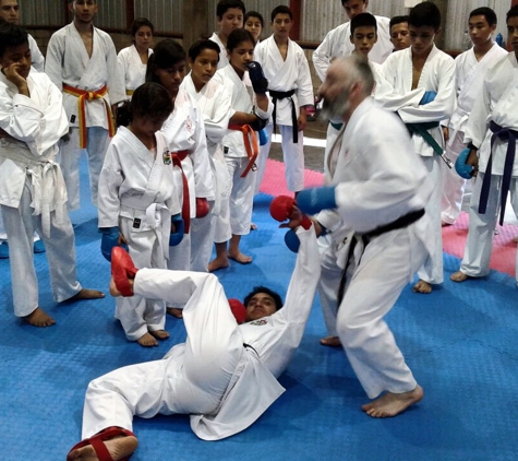 Bushido Karate Shotokan USA - Raleigh, NC