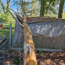 HallMade Tree Service