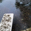 Pool Tech gallery