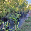 Edible Landscaping & Fruit Tree Nursery - Garden Centers