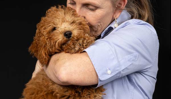 Nicklin Way Veterinary Surgery - Warana, QLD