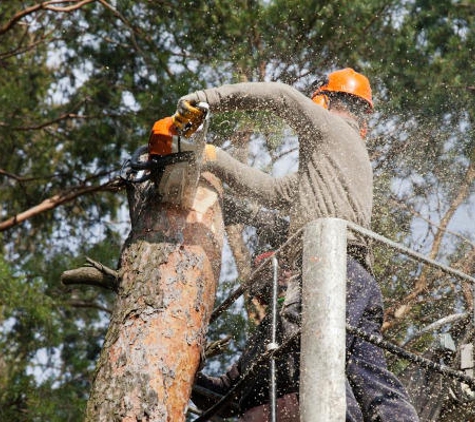 Ballard's Tree Service - Atlanta, GA