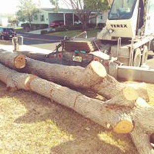 Ike's Tree Service - Zephyrhills, FL