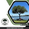 MCJ Tree Service gallery