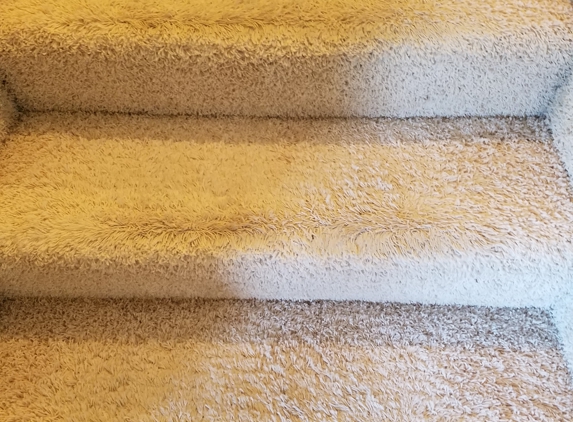 Zerorez  Cache Valley Carpet Cleaning 1 - Garland, UT