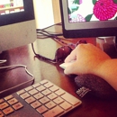 Mobloggy - Marketing Programs & Services