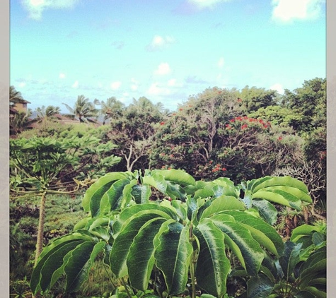 Kiahuna Plantation Resort Kauai By Outrigger - Koloa, HI