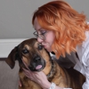 CityVet | Providence gallery