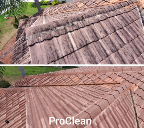 Tampa Bay Roof Cleaning - Tampa, FL. Roof Pressure Washing