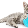 All Creatures Veterinary Service gallery