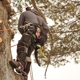 Nh Forestry Mulching And Construction