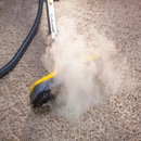 Clean Machine Plus, LLC - Carpet & Rug Cleaners