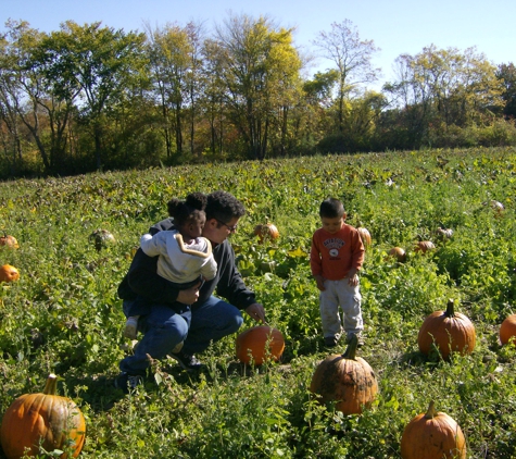 A Small World Family Childcare & Preschool - Raynham, MA