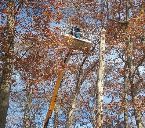 Epic Tree Service - Galva, IL