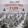Fish Hill Christmas Tree Farm gallery