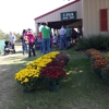 Prairie Sky Orchard - Apple Orchard gallery