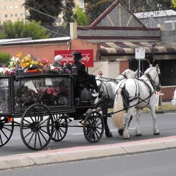 Gallery Image Number 5