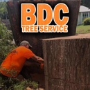 BDC Tree Service - Firewood