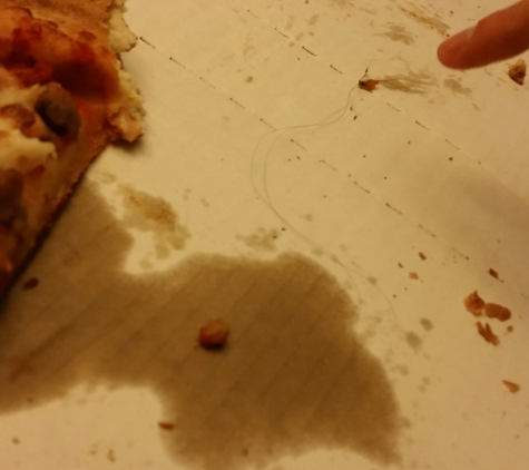 Papa Johns Pizza - Carmel, IN. Found a long hair wad in my pizza. I almost threw up.