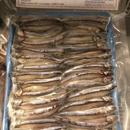 World Food Market