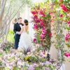 Aliso Viejo By Wedgewood Weddings gallery