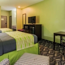 Best Western Mt. Vernon Inn - Hotels