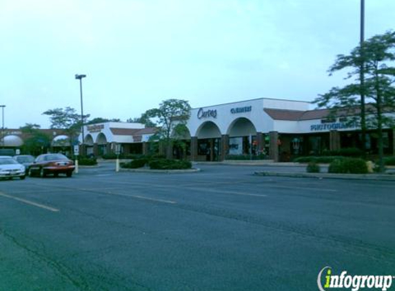 Back In Line Chiropractic - Schaumburg, IL