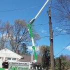 A&M AFFORDBLE TREE SERVICE