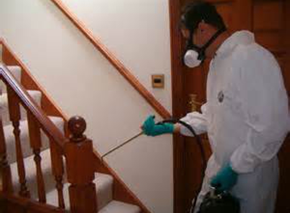 Dead End Pest & Termite Services - Waldorf, MD