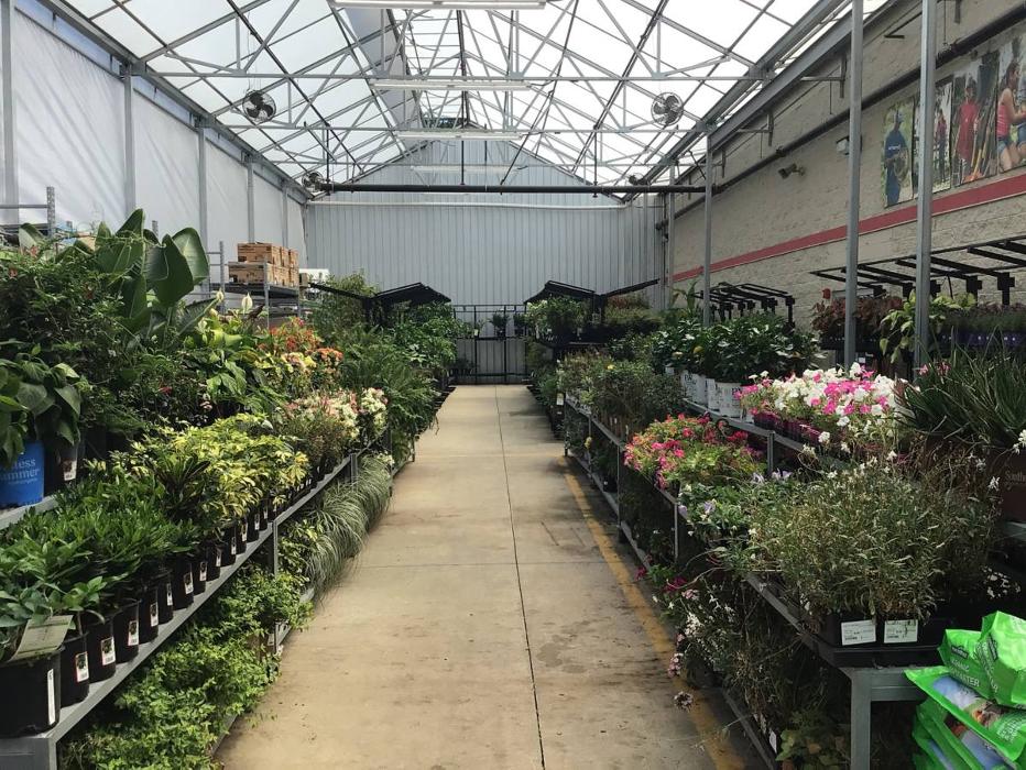 Cool Tractor Supply Orangeburg South Carolina Gallery