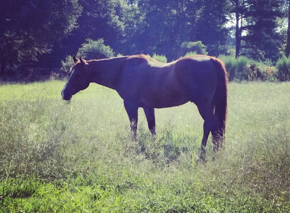 Twisted Oak Ranch - Ludowici, GA