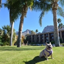 El Conquistador Tucson, A Hilton Resort - Motels