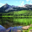 The Harmonic Zone, LLC - Feng Shui