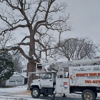 Higley's Tree Service gallery