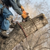 EJT Tree Service gallery