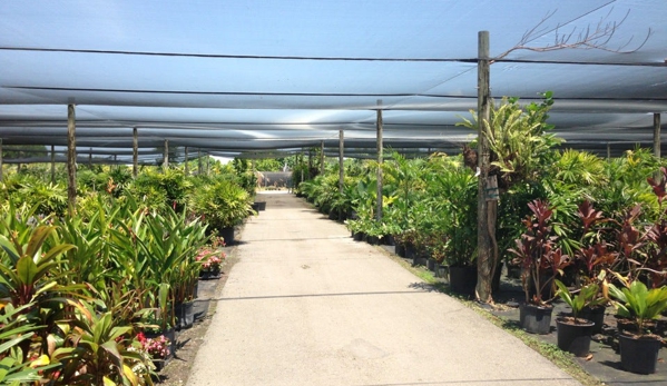 Santa Barbara Nursery Inc - Miami, FL