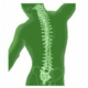 Interventional Pain Management Services