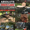 Absolute Tree Care gallery
