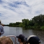 New Orleans Airboat Tours