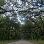 Wormsloe Historic Site