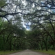 Wormsloe Historic Site