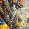 Meinhart's Tree Service gallery