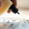 Frontier Pest Control gallery