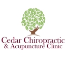 Cedar Chiropractic and Acupuncture Clinic, Inc. - Dr. Lindsey Weers Austin - Acupuncture